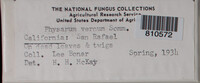 Image Associated With the Occurence
